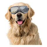 Gafas De Sol Para Perros De Razas Medianas Y Grandes Con Pro
