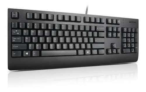 Teclado Lenovo Preferred Pro 2 Usb - Br 4x30m86884 Sd50l7998