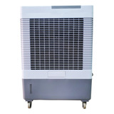 Cooler Enfriador Evaporativo Portátil Ptc3600 Practicool