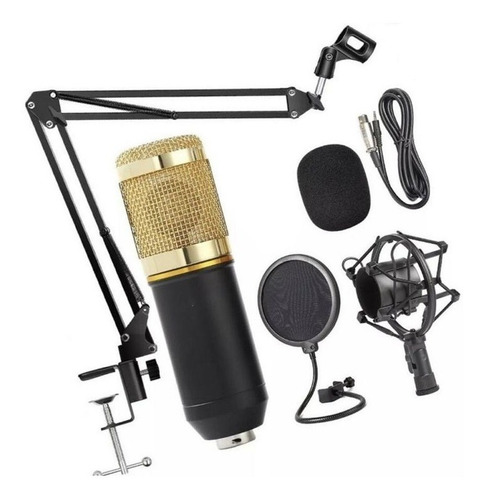 Kit Studio Microfone Profissional Bm-8000 Condenser