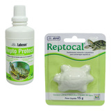 Kit 1 Alcon Labcon Repto Protect 100ml 1 Alcon Reptocal 15g