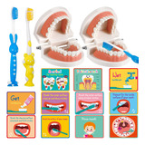 Skylety Juego De 2 Kits De Dentista Para Ninos, Modelo De Di