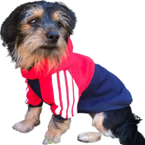 Buzos Abrigo Ropa Perros Medianos Coleccion Clima Frio Cool*