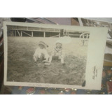 Foto Postal Mar Del Plata 1921