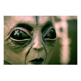Vinilo 50x75cm Ovni Roswell Extraterrestre Alien P1