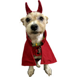 Disfraz Para Perro Halloween Diablito Talla 2,4,6,8 