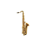 Saxofone Alto Essence Michael Wasm30n
