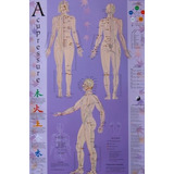 Book : Acupressure Chart - Points And Meridians - Michael R