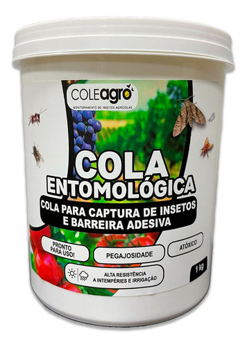 Cola Entomológica Insetos Incolor Atóxico Colly 1kg