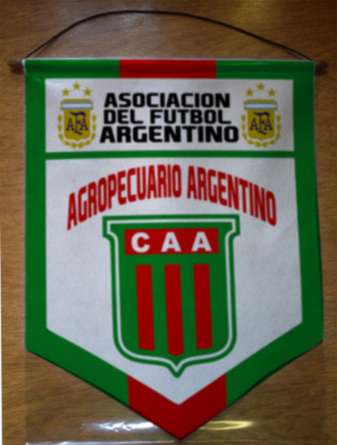 Banderin Paño 40cm Futbol Argentino Nacional B 2023