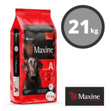 Alimento Perro Maxine Adulto 21k Mix Despacho Regiones* Tm