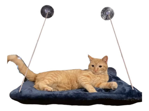 Cama Colgante Flotante Grande Para Gatos + Obsequio