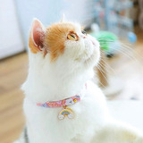 Collar Rosa De Arcoiris Para Gato