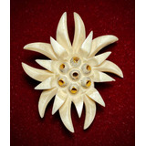 Antiguo Pin Flor Edelweiss Broche