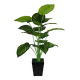 Planta Artificial Monstera + Maceta Costilla Tropic 55 Cm