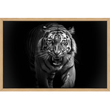 Quadro Decorativo Animais 90x60 Selvagem Moldura Virtual Zoo Cor Img03 Armação Madeira