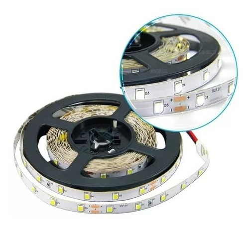 Tira Led 3528 / 2835 Interior 5metros 300led  Mayorled 