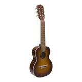 Guitalele Persian. Cuerpo De 28 , Envío Gratis 