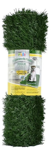 Repuesto De Pasto Doggie Grass Chico Tapete Entrenador