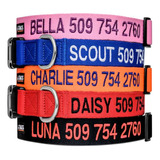 Collar Personalizado Para Perros Y Gatos Con Nombre Y Teléfo