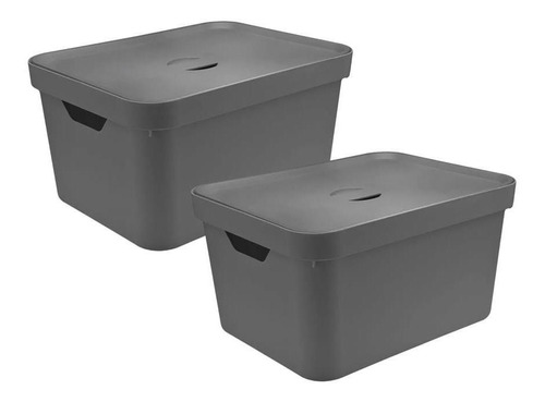 Kit 2 Caixa Organiz Cube 32l C/ Tampa 46x36x24,5cm Cinza