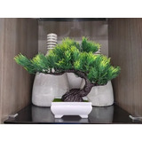 Bonsai Arvore Planta Artificial Realista Com Vaso 21x28x08cm