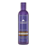 Shampoo Matizador Silver La Puissance Violeta X 300