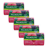 Kit 5 Sab Palmolive Naturals Nutritivo Framboesa E Amora 85g