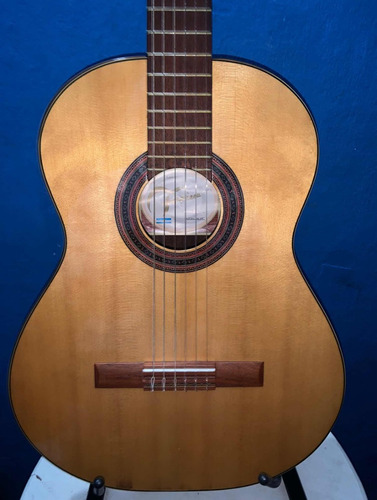 Guitarra Fonseca 50