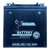 Bateria Moto De Agua Htx30l-bs Yb30cl-b 12v 30ah