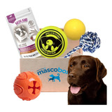 Mascobox Kit Juguetes Soga Pelota Perros Medianos Y Grandes