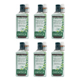 Shampoo Capilatis Ortiga 410ml + Tratante Concentrado - X6un