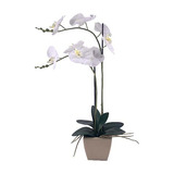 Orquidea Artificial Blanca Maceta Tulip - Desillas