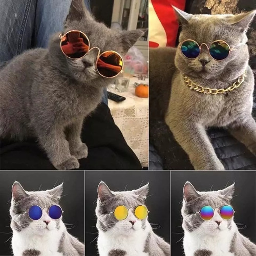 Gafas Para Mascotas