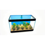 Beteira Com Decoração Fixa Para Peixe Betta 25x12x15 4,5lt