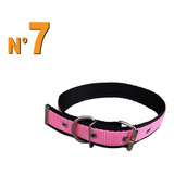 Coleira Para Cachorro Nylon Dupla Cães Pet - N° 7 Cor Rosa Tamanho Da Coleira N°7