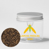 500 Gr Larva Fresca Mosca Soldado Negro