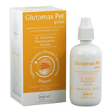 Glutamax Gp Suplemento Em Gotas P/ Animais 40ml - Inovet