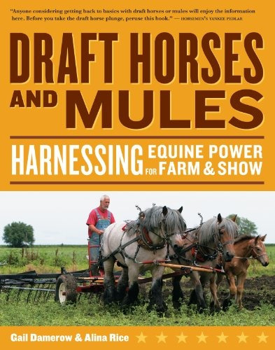 Draft Horses And Mules Harnessing Equine Power For Farm  Y  