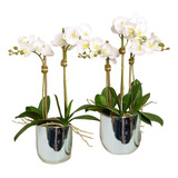 Paquete De 2 Arreglos De Orquídeas Artificiales Blancas