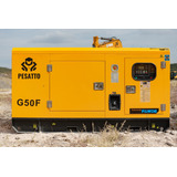 Generador Pesatto Nuevo 50 Kw 127/220 V G50f Tablero Transf