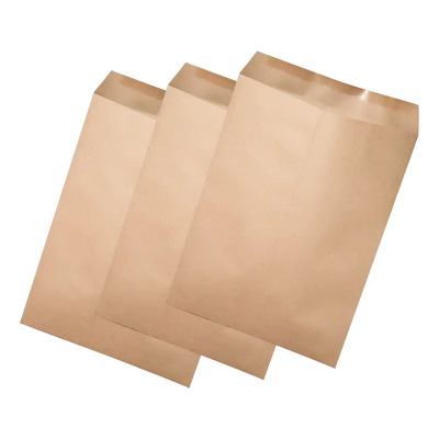 Sobre Bolsa Tamaño Carta   Paquete 100 Pz Ecológico  | Meses sin interés