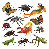 Toymany - Juego De 12 Cifras De Insectos Realistas  Juego