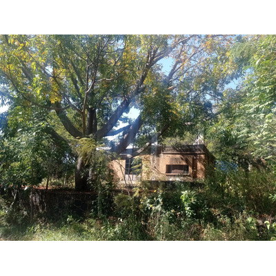 Terreno Plano En Venta Con Uso Comercial, Amatlán De Quetzalcóatl, Tepoztla, México