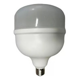 Bombillo Led Grande Lúmenes 60hz Potencia 50w Rosca E27 4500