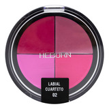 Heburn Labial Cuarteto Maquillaje Profesional Labios Cod 304
