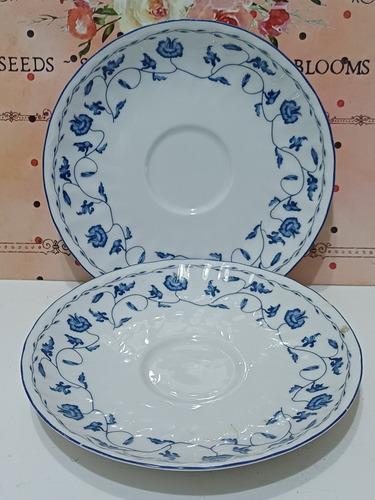 Plato De Porcelana Monto Blue Floral Precio Por Unidad