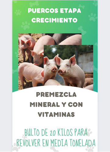 Premezcla Mineral Para Cerdos, En Etapa De  Crecimiento  
