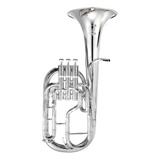 Saxor Alto Fanpro Saxornick Mib Niquelado