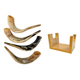 Shofar De Chifre De Carneiro De Tocar + Suporte - De Israel